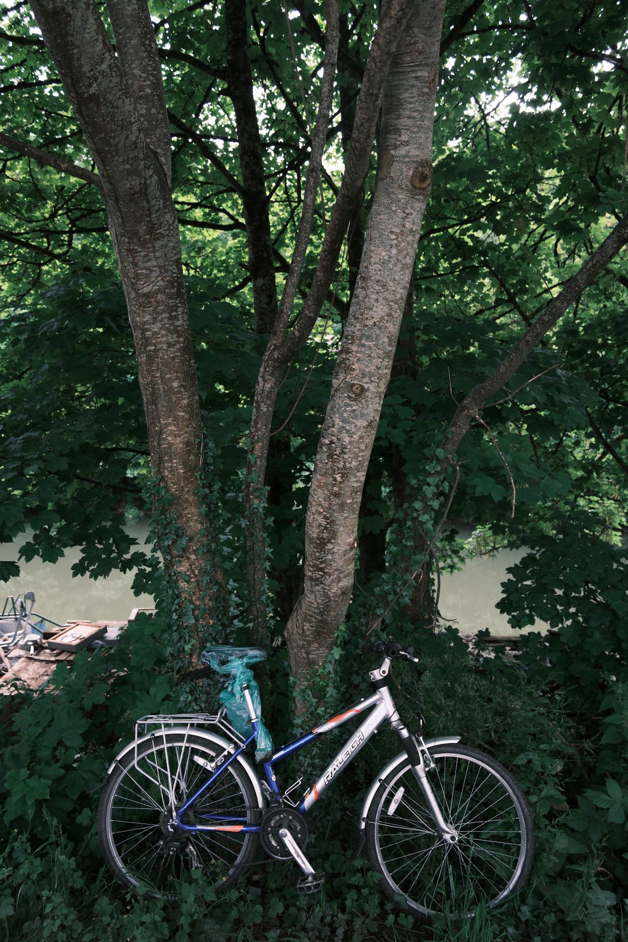 A bike parked up against a tree, taken on a Fujifilm X-T50