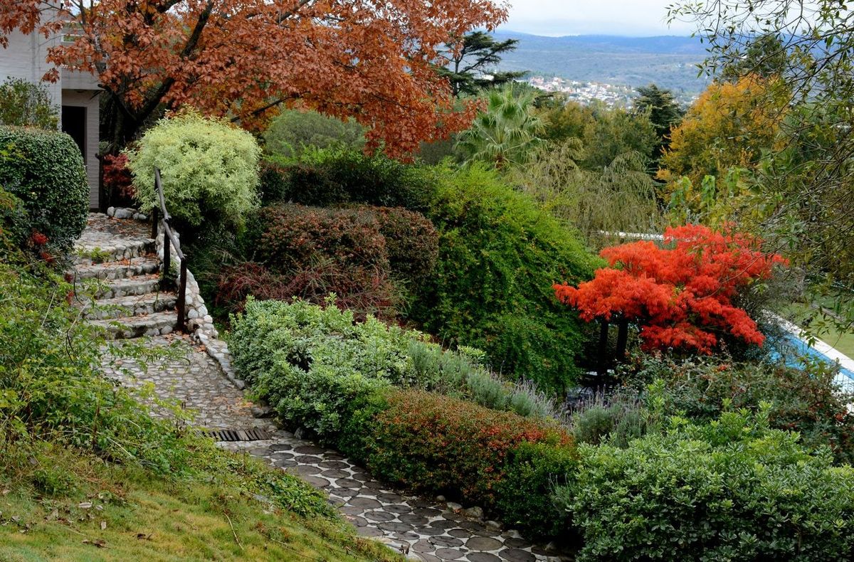 Growing Plants On A Hillside Best Plants For Slopes And Banks