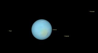 a pale blue gas giant with a light green splotch on its face is accompanied by four labeled moons.