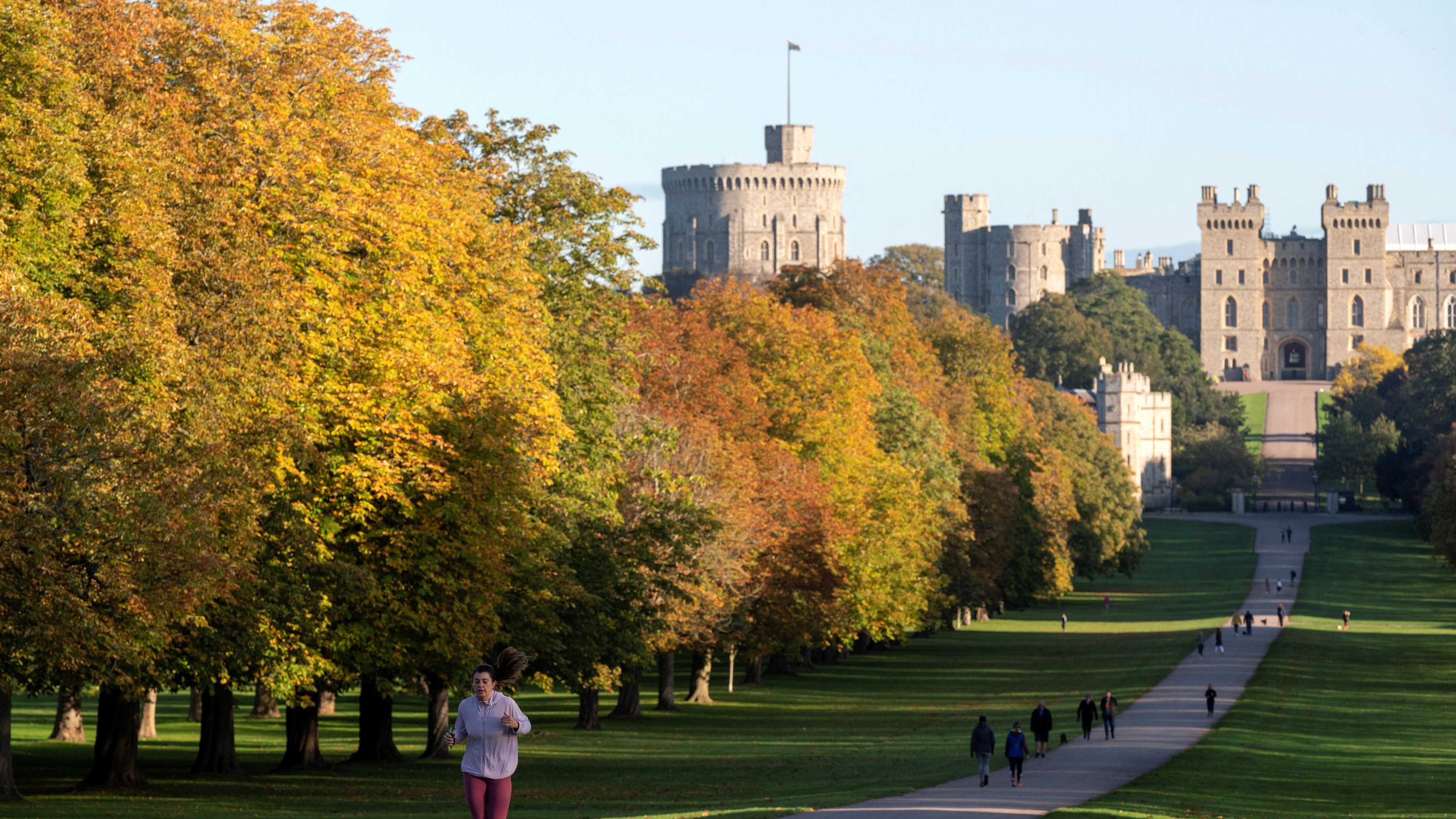 View of the trees lining The Long Walk in Windsor Great Park, leading to Windsor Castle