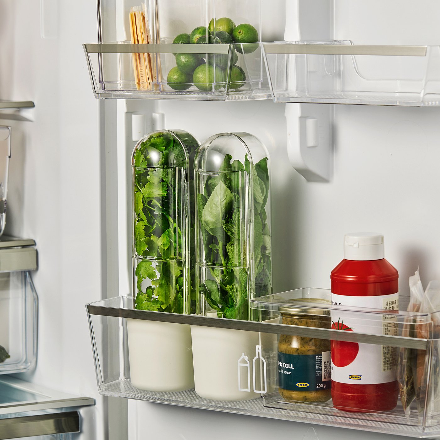 Klippkaktus Herb Storage for Fridge - Clear 3 3/4x3 5/8x11 "