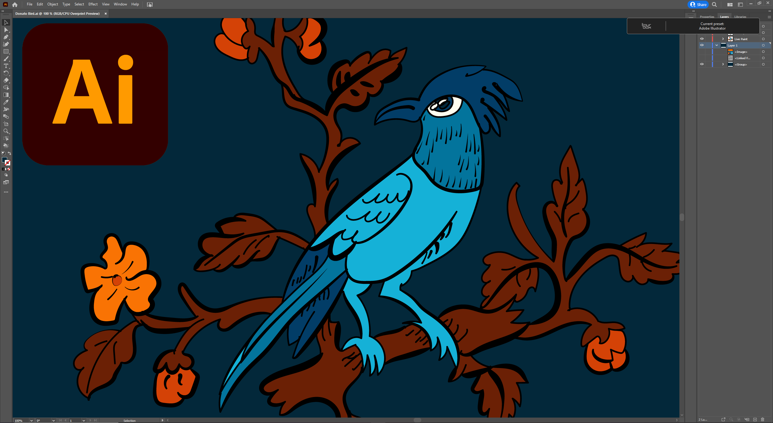 Adobe Illustrator Workspace