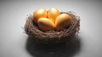 Gold eggs in bird nest concept for retirement