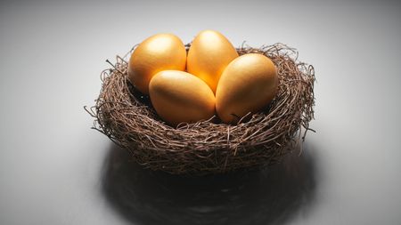 Gold eggs in bird nest concept for retirement