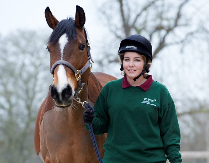 Equine-1