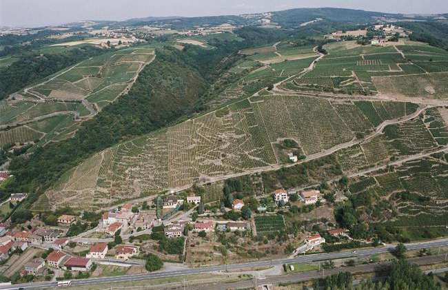 Guigal La Landonne vineyard