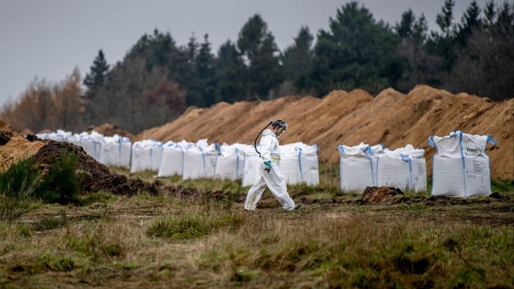 A man in a hazmat suit walks past ditches and bags of Calcium oxide as members of Danish health authorities assisted by members of the Danish Armed Forces dispose of dead mink in a military area near Holstebro, Denmark on November 9, 2020.