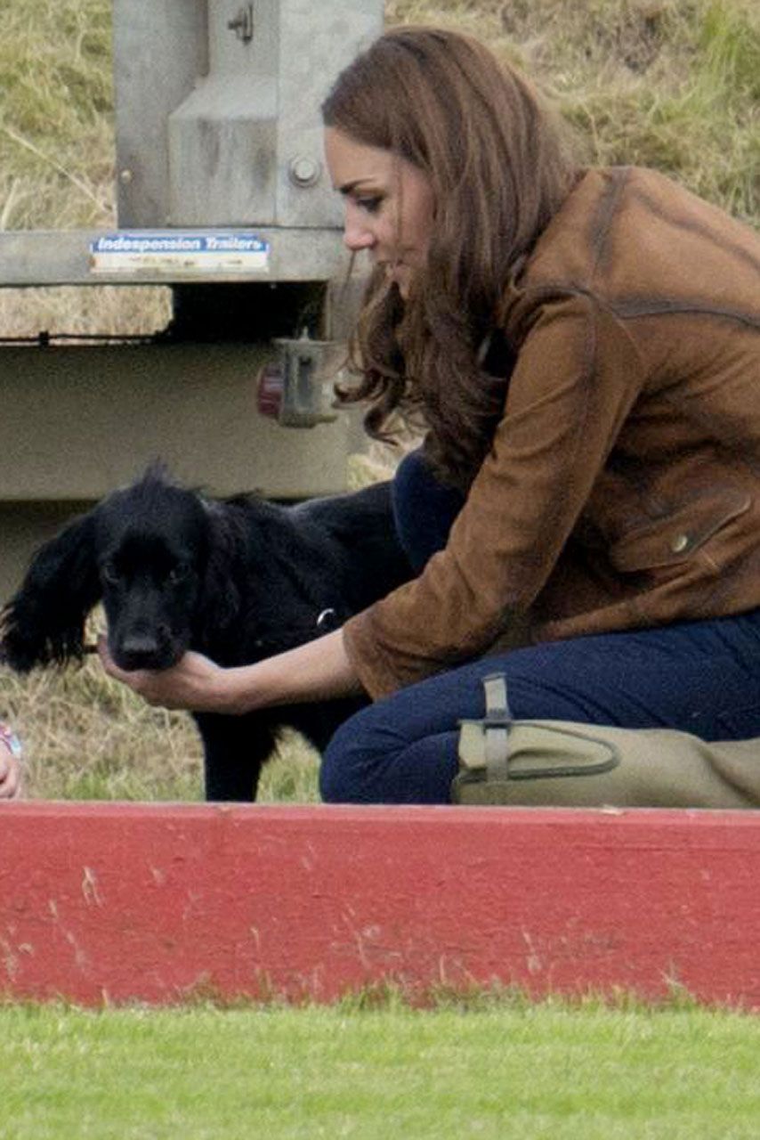 Kate Middleton, enceinte, a aperçu le chien Lupo en train de promener à Londres