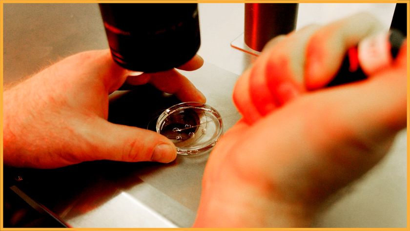 a close-up of a scientist working with human cells