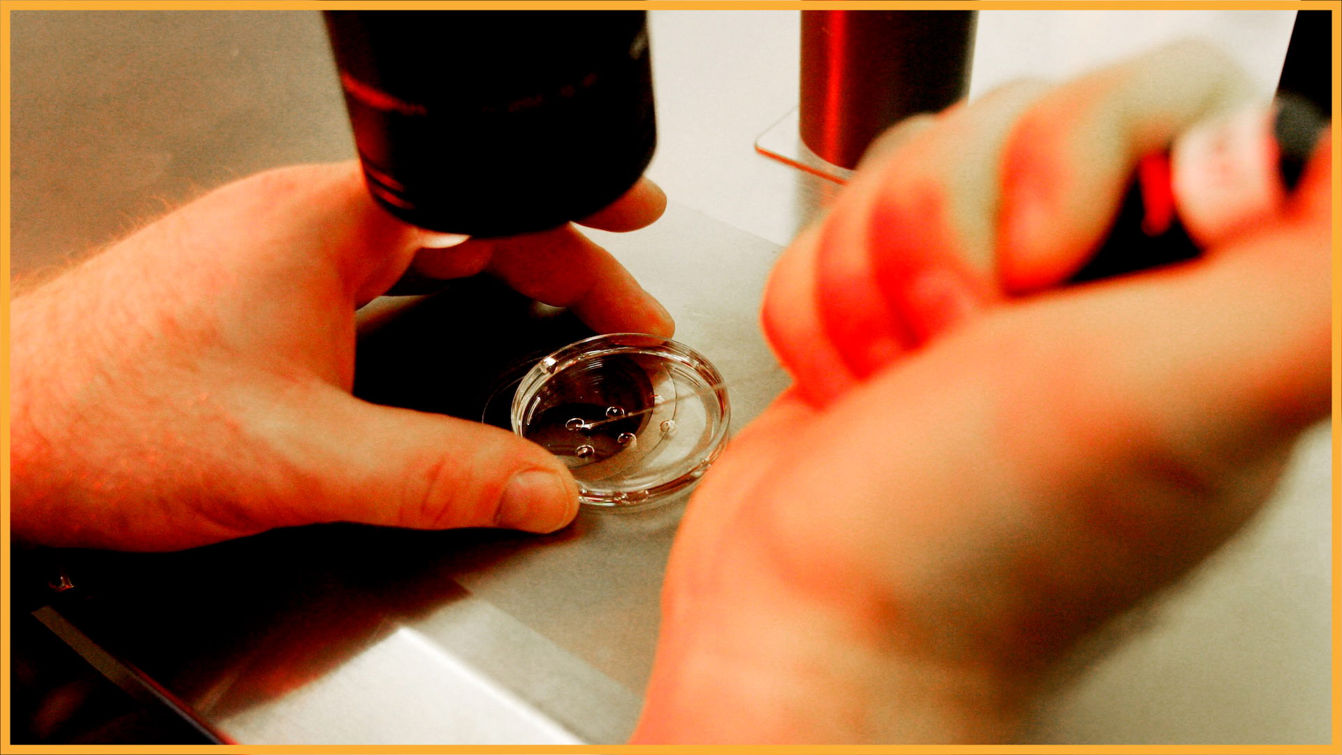 a close-up of a scientist working with human cells