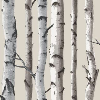 Fine Decor Birch Tree Wallpaper