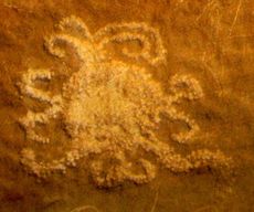 The rock art depicting a solar eclipse, possibly from A.D. 1097, looked "more celebratory than frightening," said a University of Colorado archaeoastronomer. 