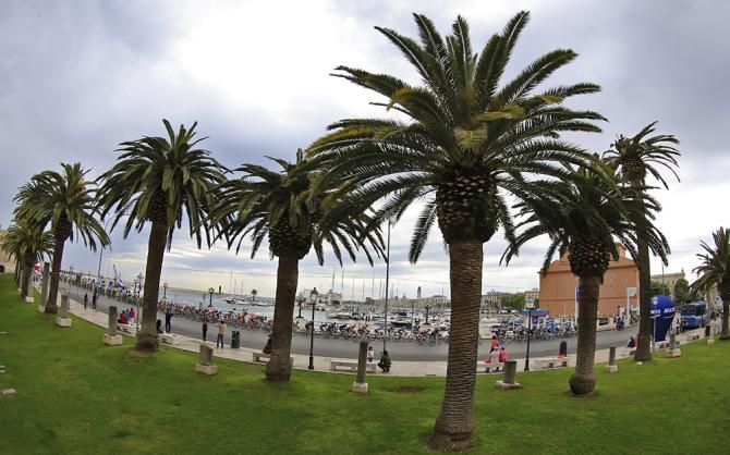 The seaside town replete with palm trees