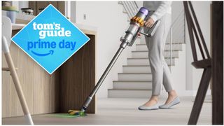 Dyson V15 Detect Plus Cordless Vacuum