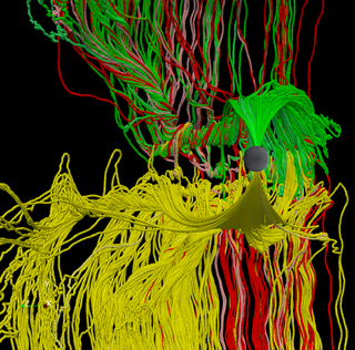 A computer simulation of Earth's magnetosphere.