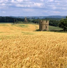 The pyramid at Castle Howard set beside abandoned city walls, evokes memories of the Mausoleum of Caius Cestius, beside the walls of Rome. ©Paul Barker/Country Life Picture Library