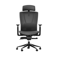 Autonomous  ErgoChair Pro Mesh