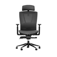 Autonomous  ErgoChair Pro Mesh
