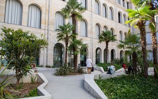 The garden of a beautiful, palatial library features tall and lush palm trees sprouting out of modernly designed pathways.