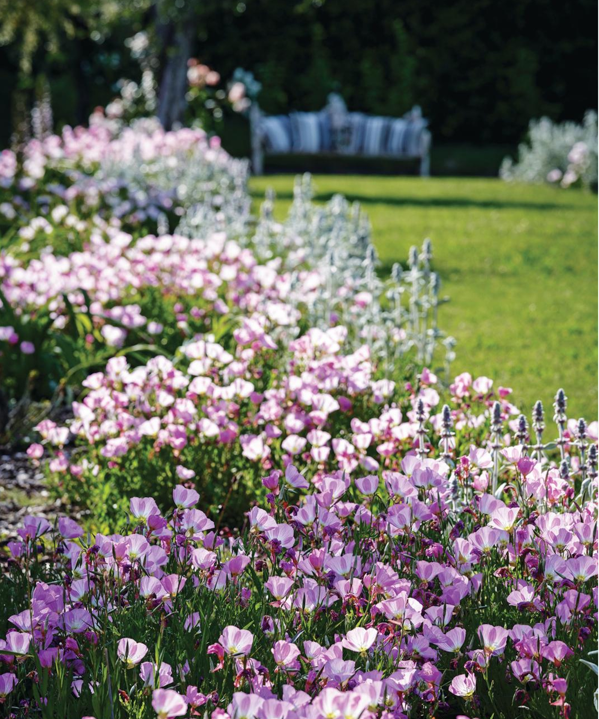 Garden border with pink flowers