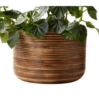 Large brown rattan plant pot that's round