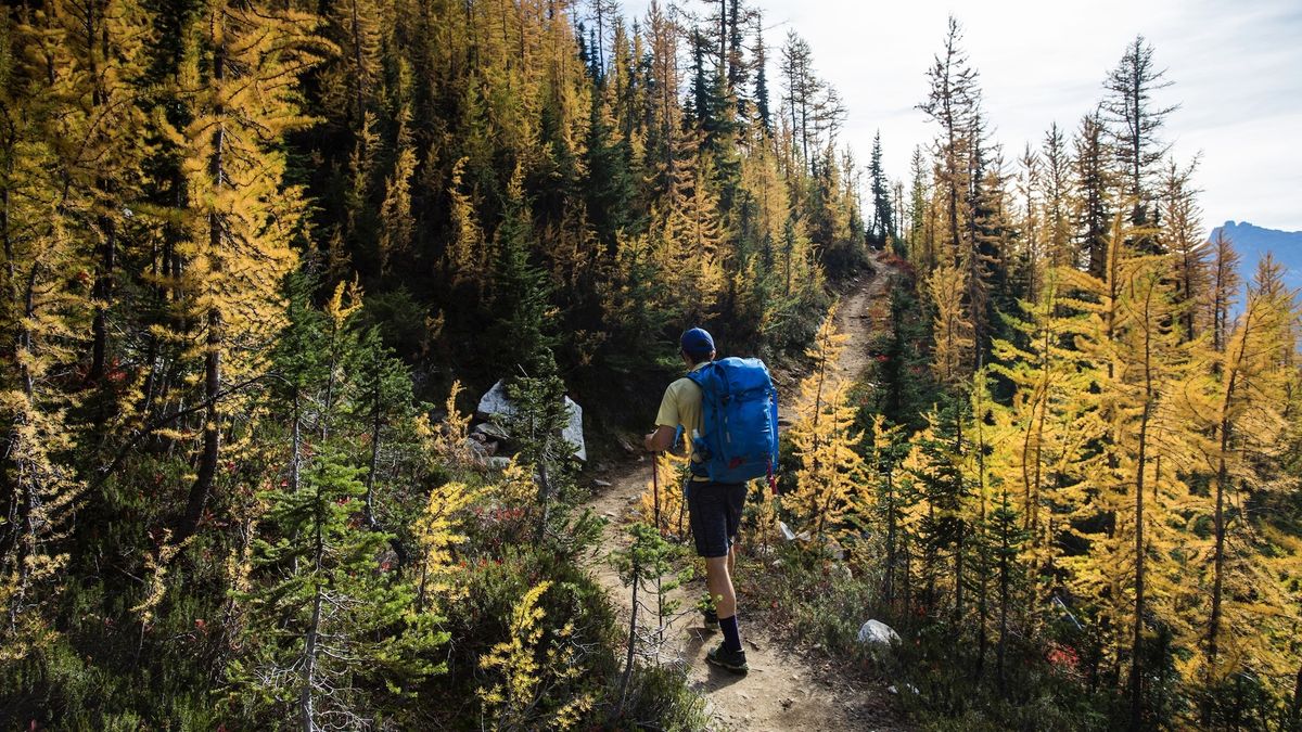 Pacific crest trail hiker