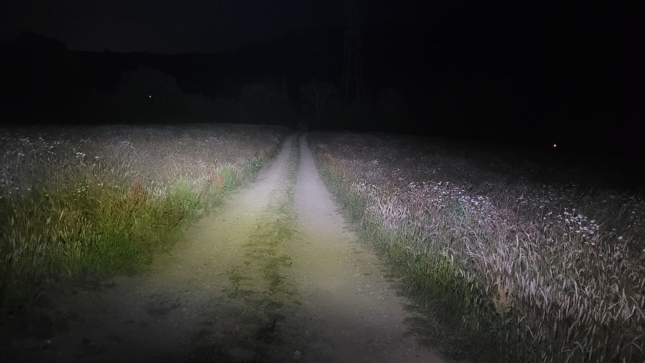 OLIGHT Perun 2