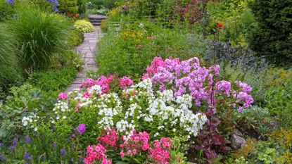 A garden with a paved path and a bed of flowers