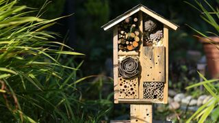 Bee hotel in a garden