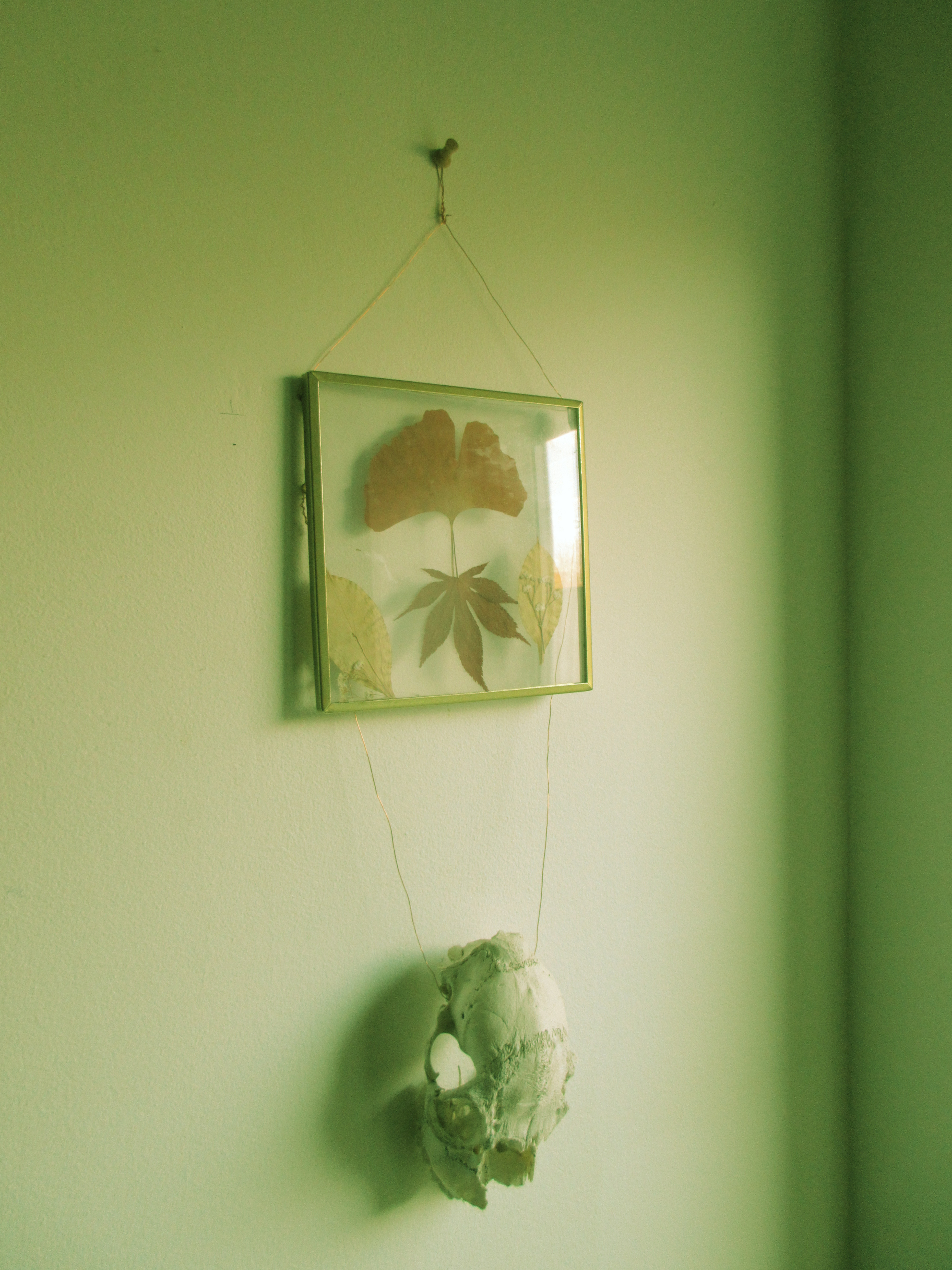 A photo taken on a Canon PowerShot Elph 360 HS A