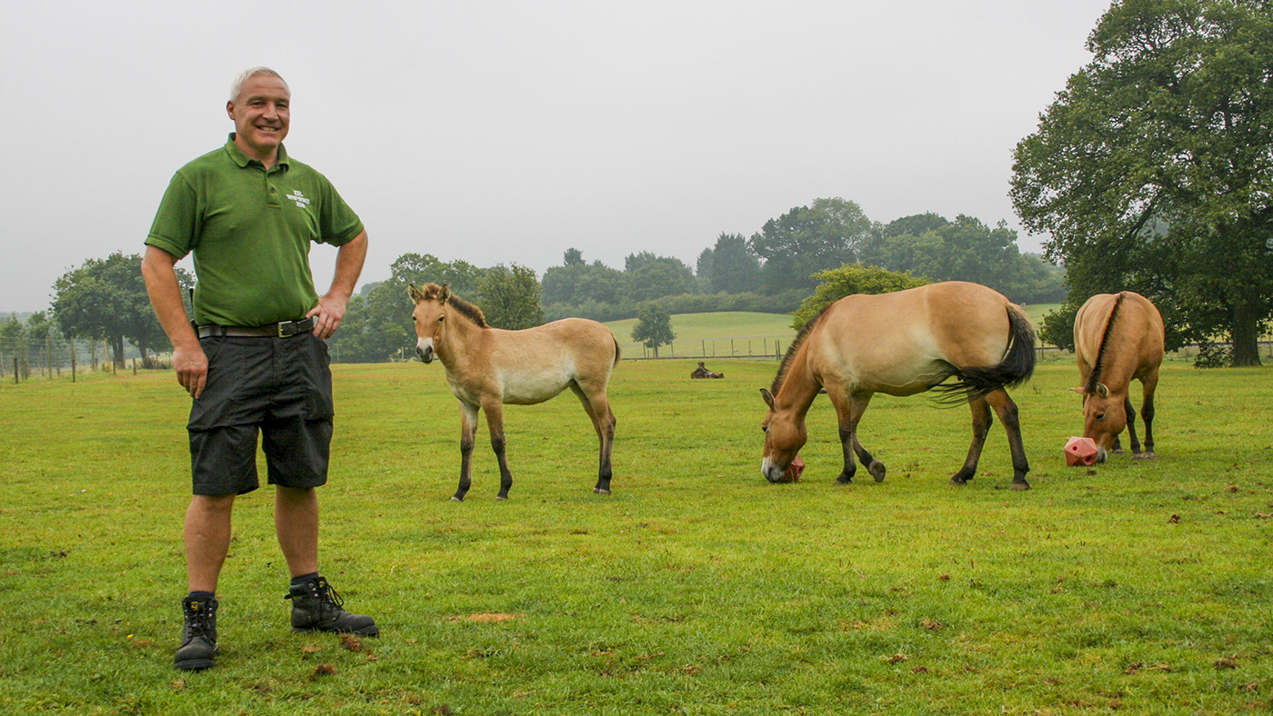 Mark_Holden__Team_Leader_ZSL_Whipsnade_Z_405167432_730447481.jpg
