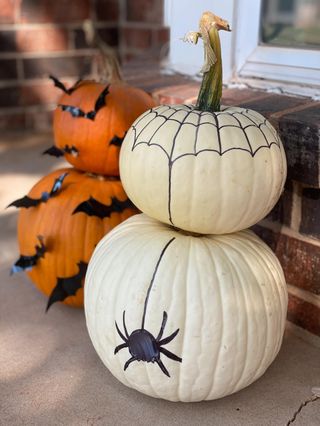 Sharpie spider decorated halloween pumpkin