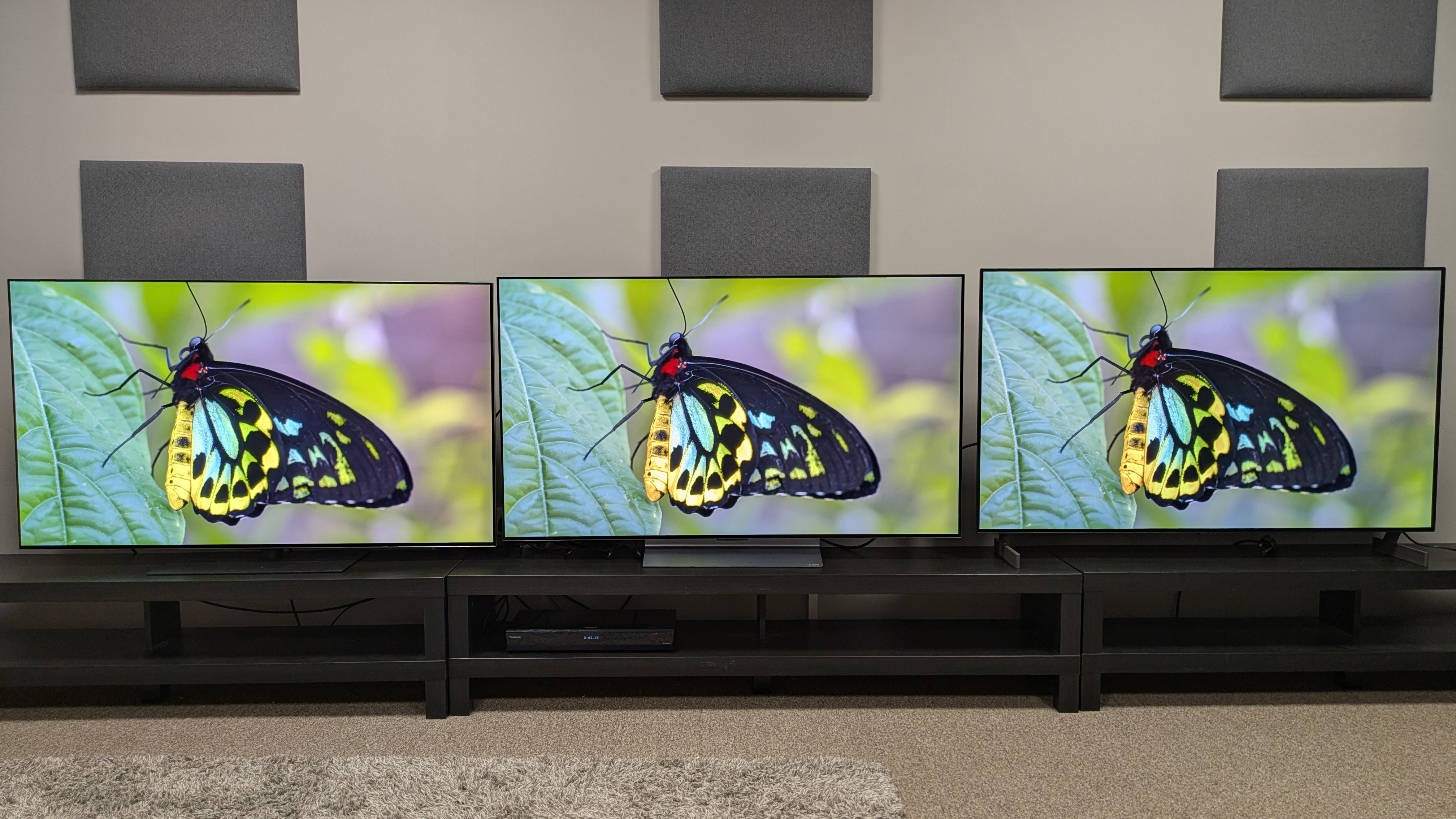LG G6 (left) vs LG C6 (middle) vs LG B6E (right) showing a green and yellow butterfly. All three TVs show excellent colors, but the G6 has higher brightness, while the C6 has greater accuracy
