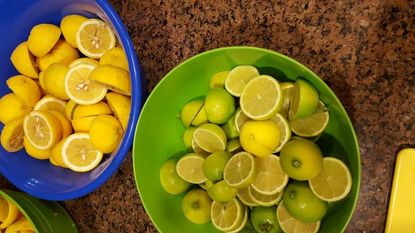 Bowl Full Of Cut Lemons And Bowl Full Of Cut Limes