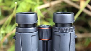 Image shows the Celestron TrailSeeker 8x42 binoculars against a background of grass.