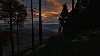 Trees and rocks in an open world