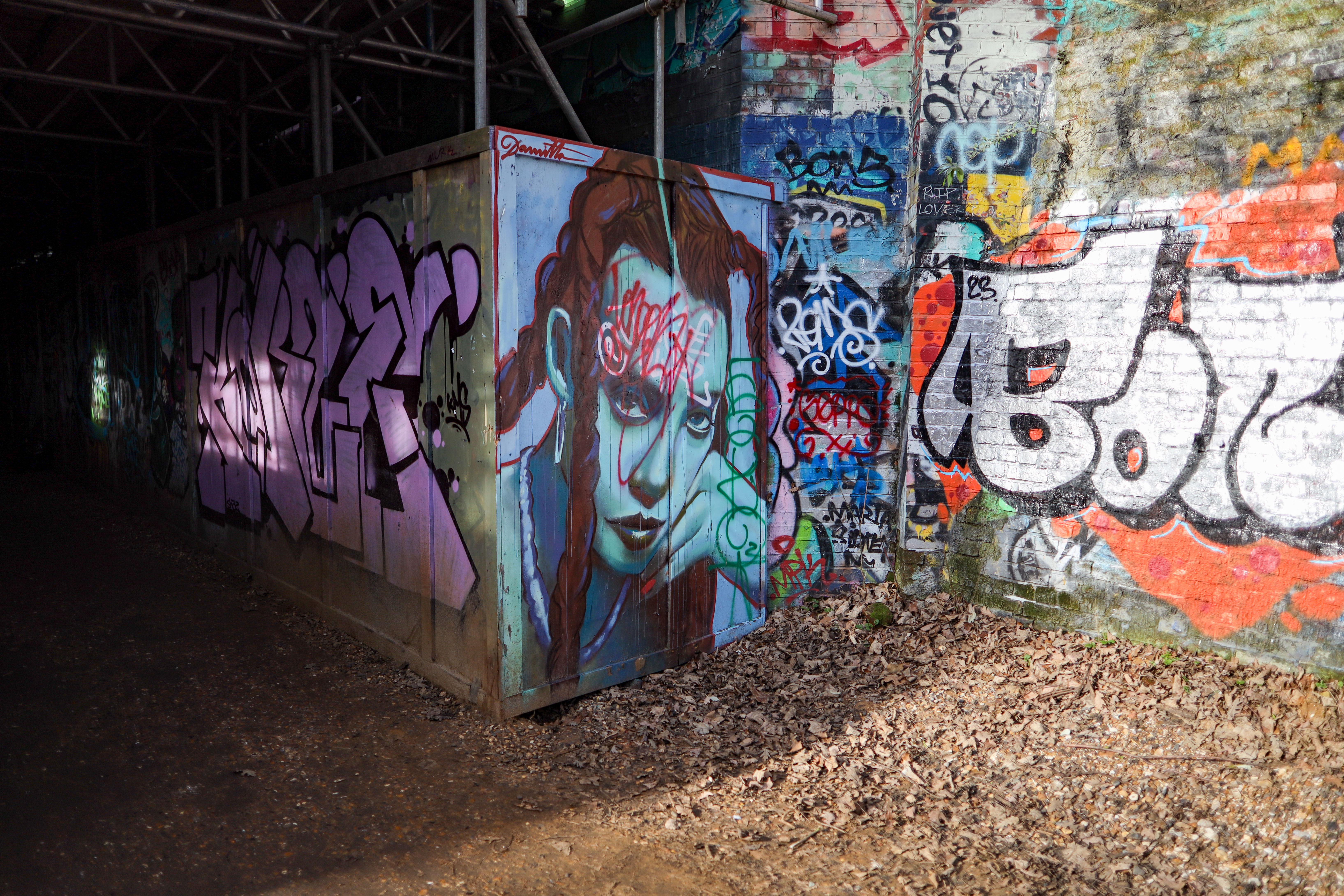 brick wall with graffiti shot on the canon rf 24mm f/1.8 is stm lens