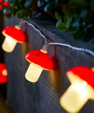 mushroom design fairy lights at night