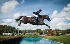 Tripple X III MAHER Ben RIHS 2013 King George Cup