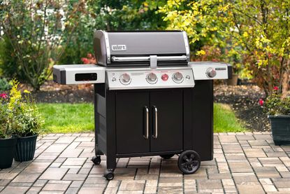 gas weber bbq