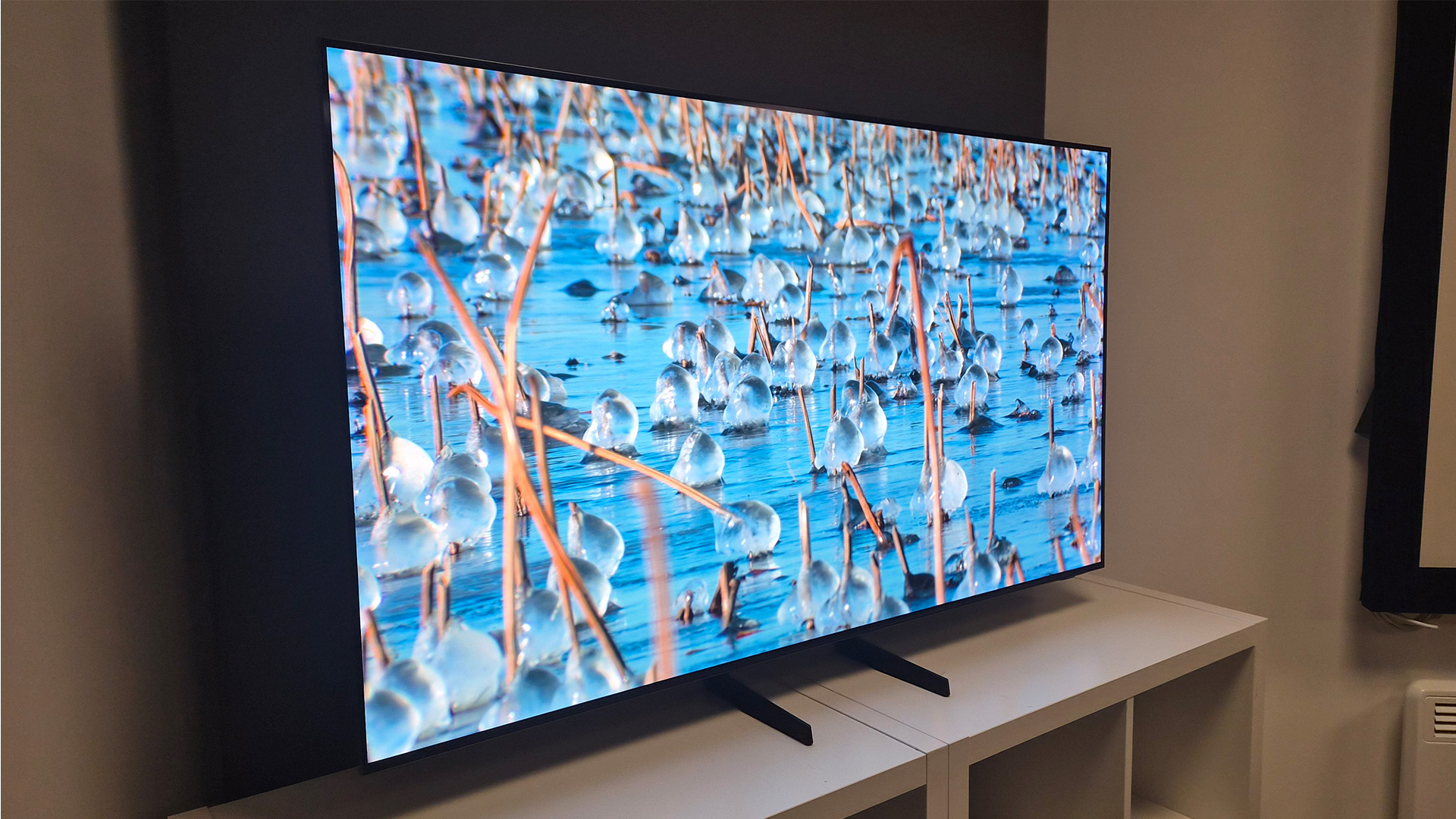 Samsung S85H OLED TV, on screen are water birds