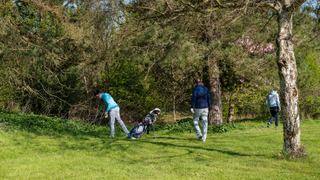 A group of golfers search for a lost ball in thick rough