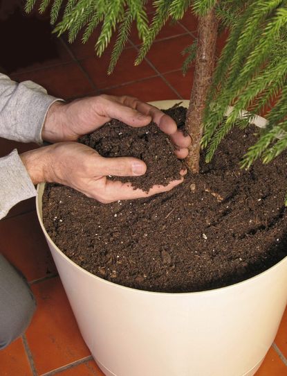 Hands Placing Soil In Large Potted Plant