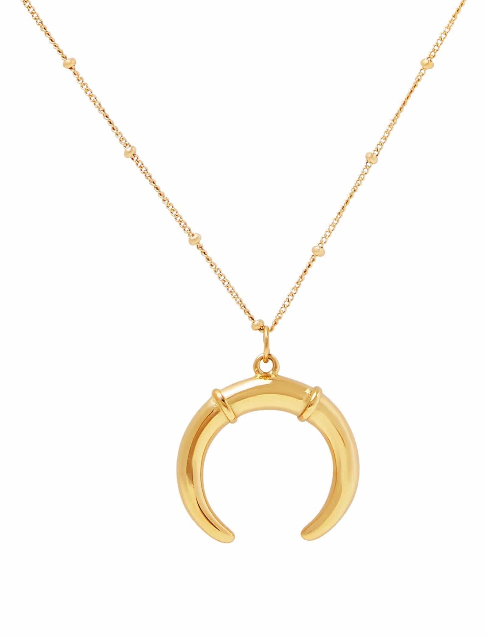 Upside Down Horn Necklace