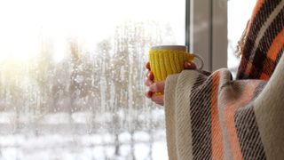 Person holding a mug by a cold window wearing a scarf round their arms and hands