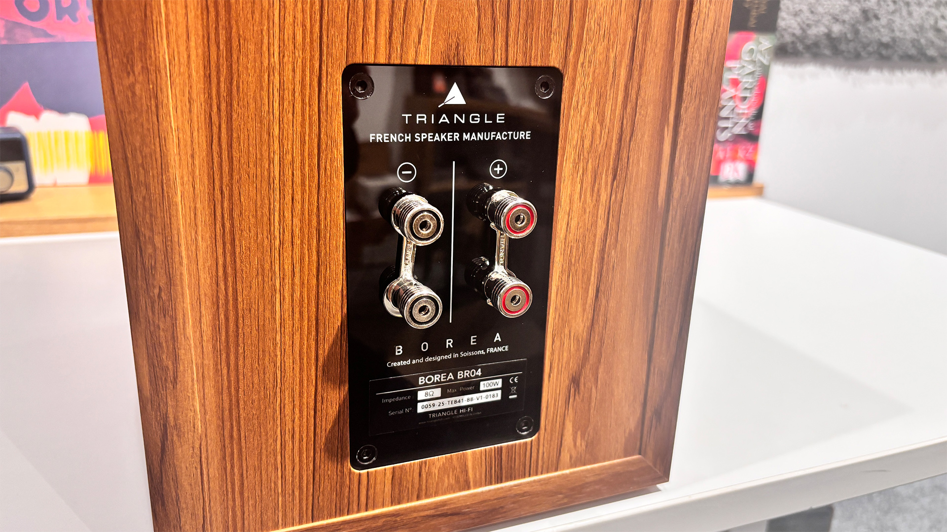 Triangle Borea BR04 standmount speakers rear of speaker showing binding posts