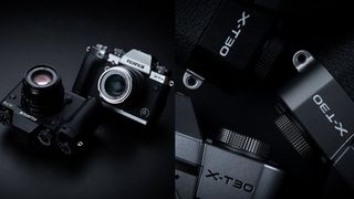 Fujifilm X-T3 and X-T30