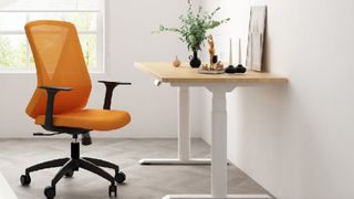 Flexispot office chair