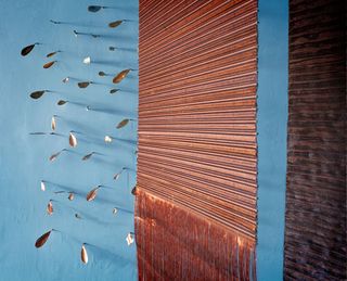 Copper wall panel and leaves hanging on a wall
