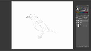 Rough pencil sketch of a bird
